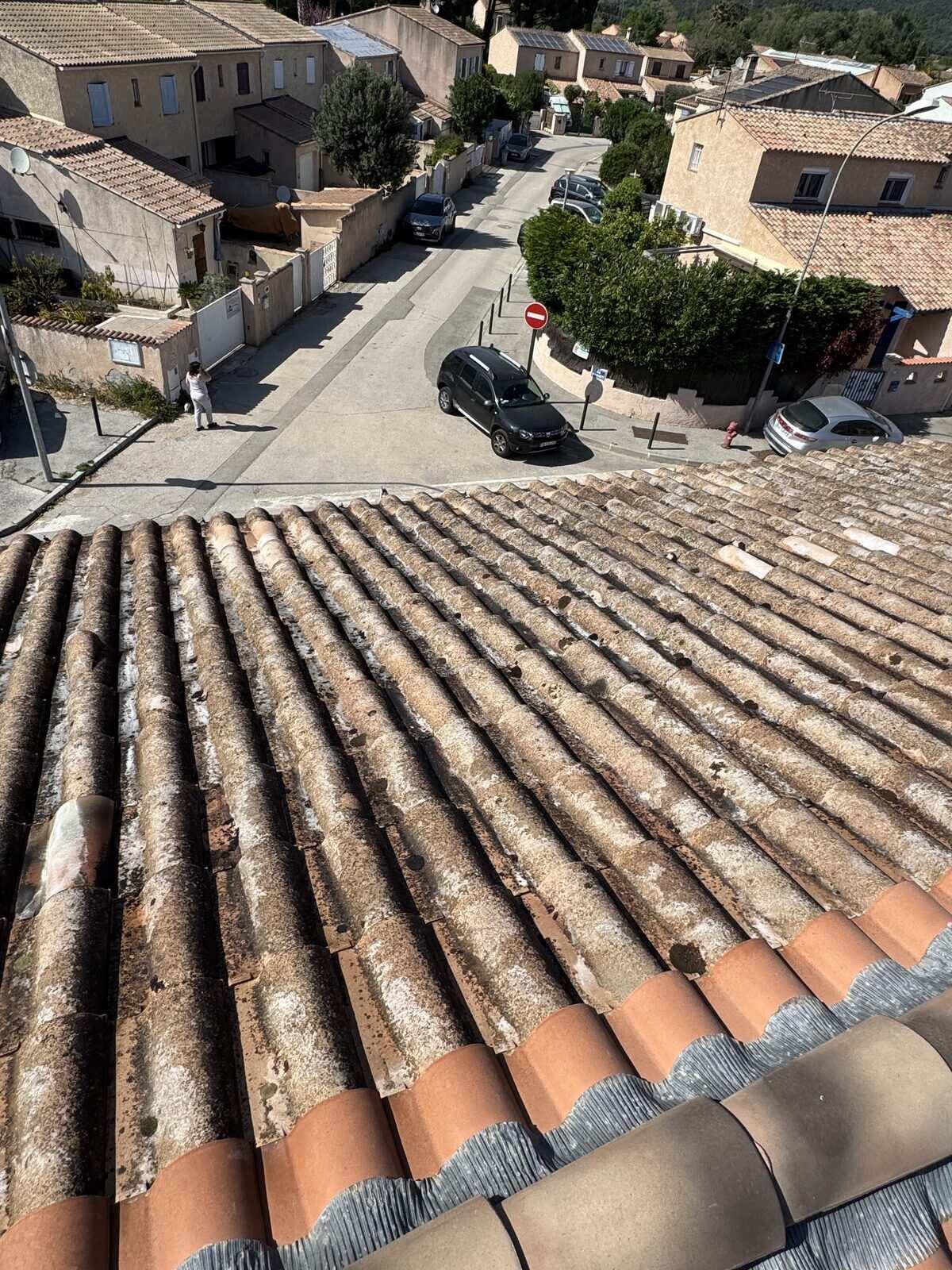 Tuiles couvertes de lichens avant démoussage sur une toiture varoise